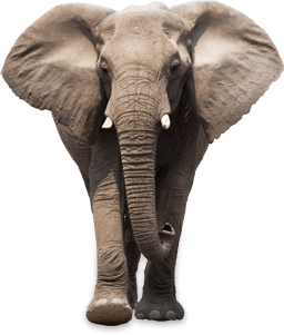 Image is not available