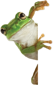 Image is not available