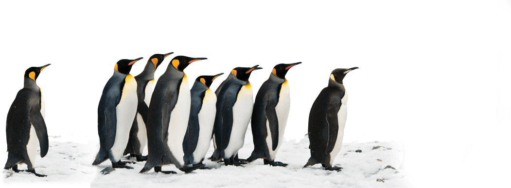 Image is not available