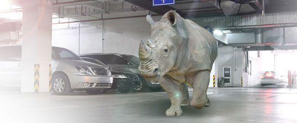 Bumpers & Buffers Bumpers & Buffers