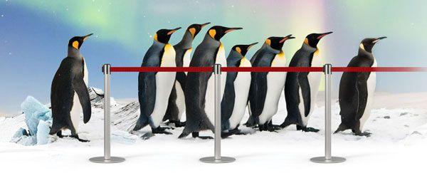 Queue Management Queue Management