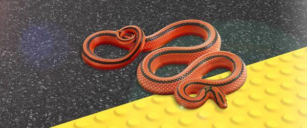 Under Foot Under Foot