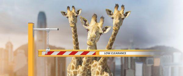 Vehicle & Parking Vehicle & Parking